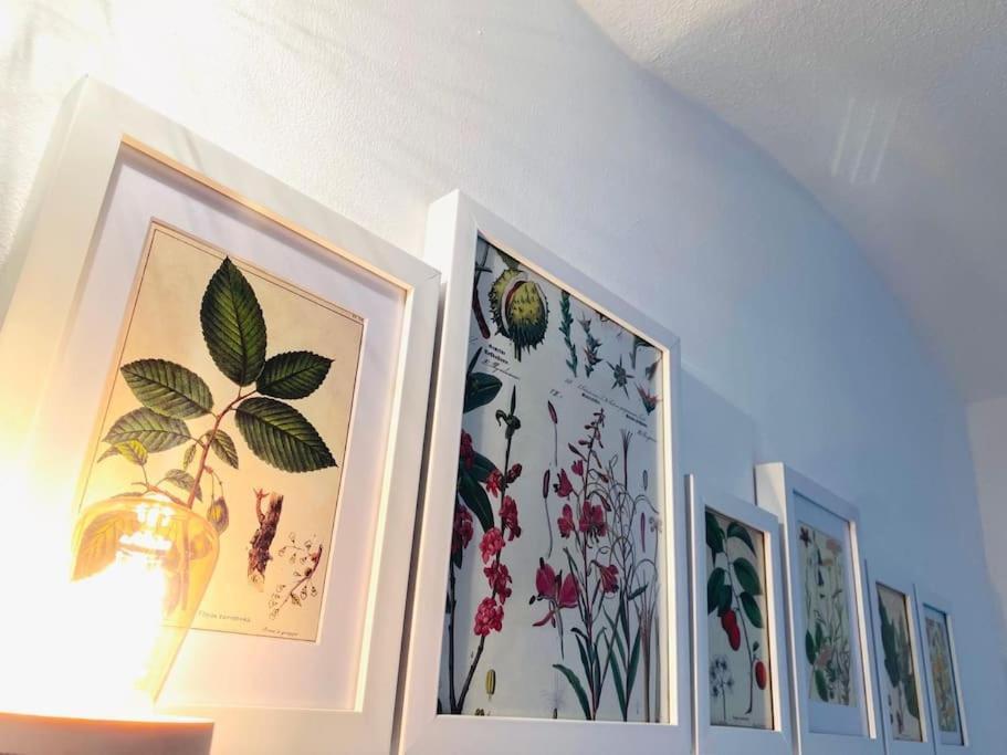 Terrassenwohnung Mit Donaublick Obernzell ภายนอก รูปภาพ
